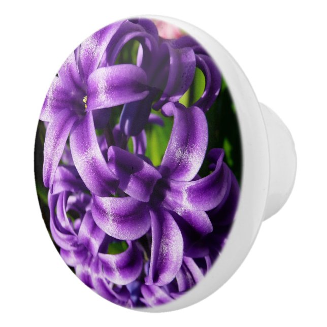 Blue Hyacinth II Spring Floral Keramikknauf (Rechts)