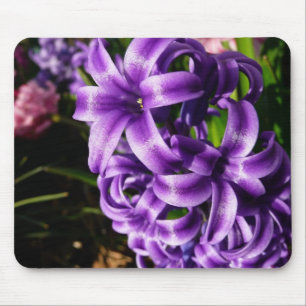 Blue Hyacinth II Spring Floral Mousepad