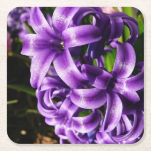 Blue Hyacinth II Spring Floral Rechteckiger Pappuntersetzer