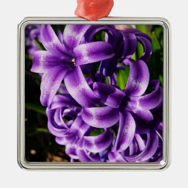 Blue Hyacinth II Spring Floral Silbernes Ornament (Vorne)