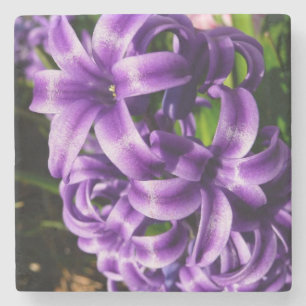 Blue Hyacinth II Spring Floral Steinuntersetzer