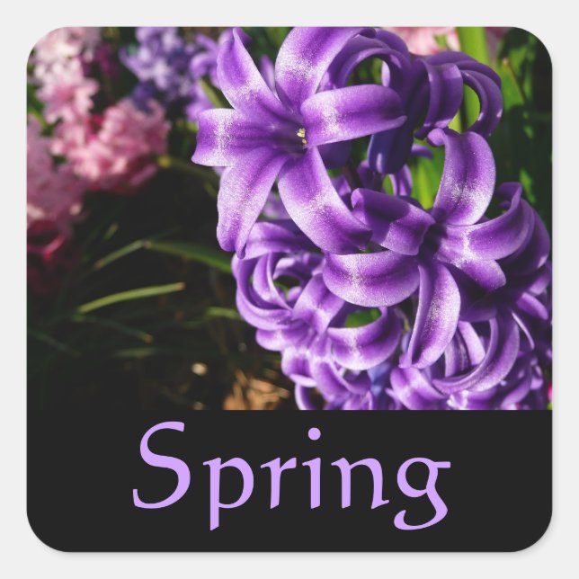 Blue Hyacinth Spring Sticker (Vorderseite)