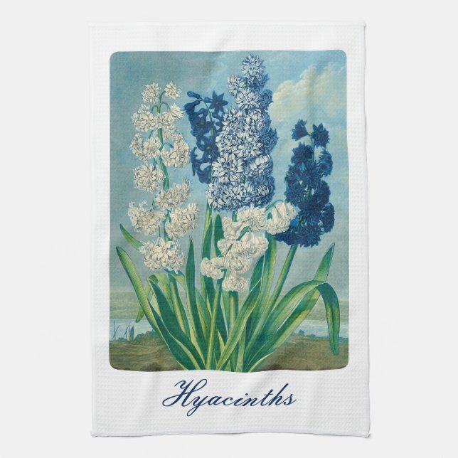 Blue Hyacinths Vintag Botanische Kunst Geschirrtuch (Vertikal)
