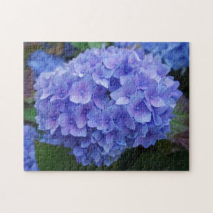 Blue Hydrangea
