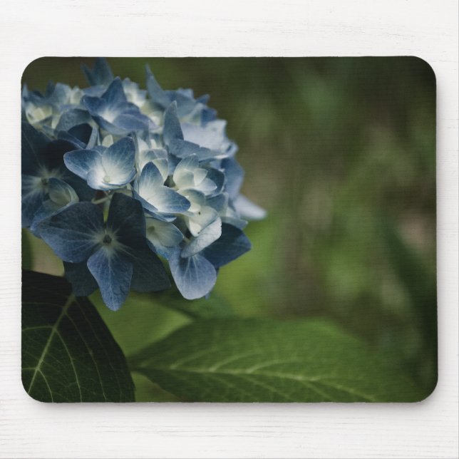 Blue Hydrangea 8519 Mousepad (Vorne)