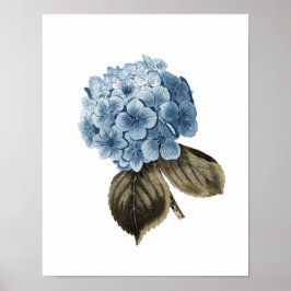Blue Hydrangea Artwork #1 Botanische Wall Art Poster