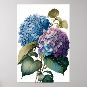 Blue Hydrangea Blume Art Print Poster