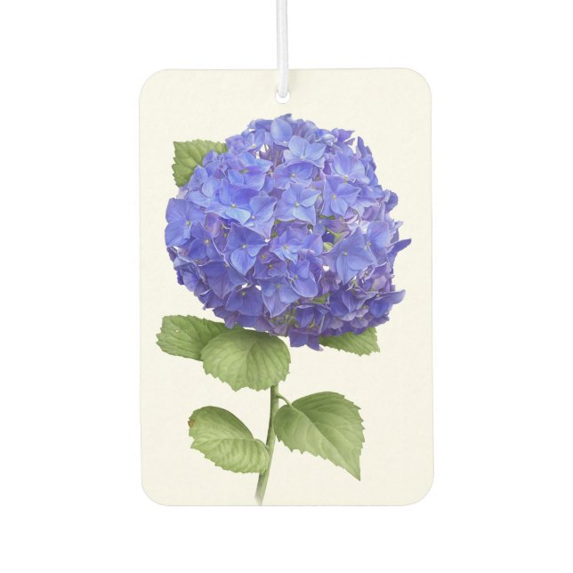 Blue Hydrangea Blume Botanische Kunst Design Autolufterfrischer (Vorderseite)