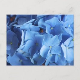 Blue Hydrangea Blume Fotografie Postkarte