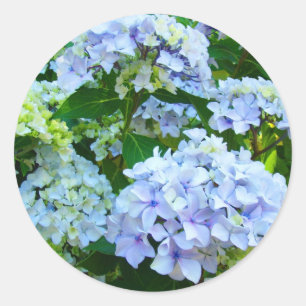 Blue Hydrangea Blume Garden Sommer Aufkleber