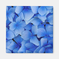 Blue Hydrangea-Blume
