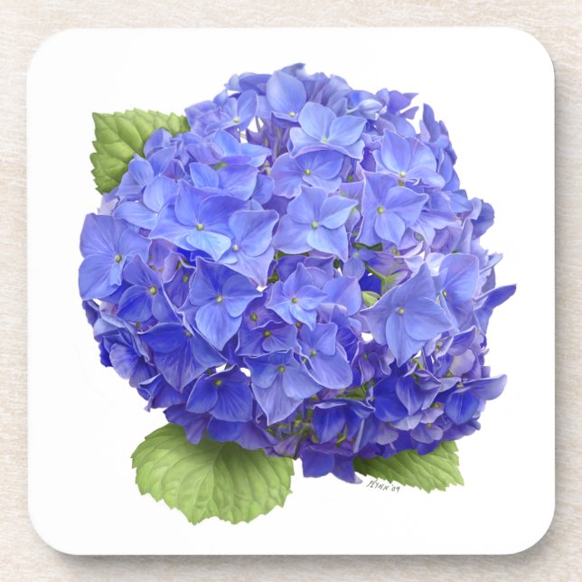 Blue Hydrangea-Blume Untersetzer (Vorderseite)