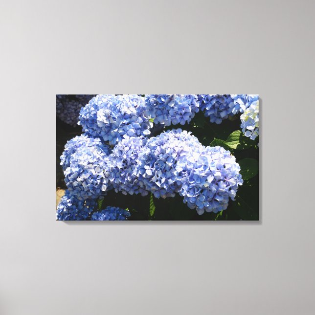 Blue Hydrangea Canvas Print Leinwanddruck (Vorderseite)