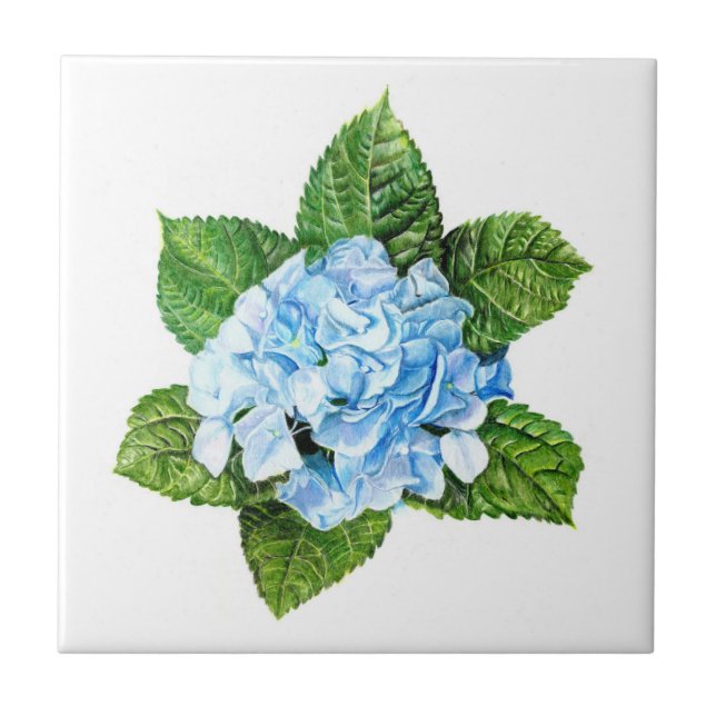 Blue Hydrangea Fliese (Vorderseite)