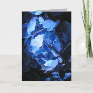 Blue Hydrangea - Grußkarte Karte