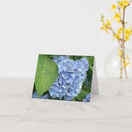 Blue Hydrangea (Hydrangea macrophylla) Karte