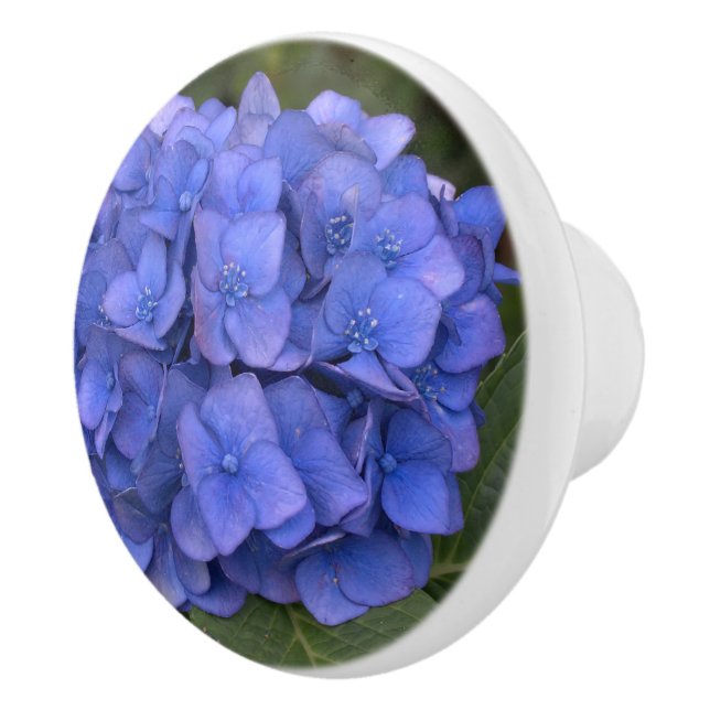 Blue Hydrangea Laurel Floral Keramikknauf (Rechts)