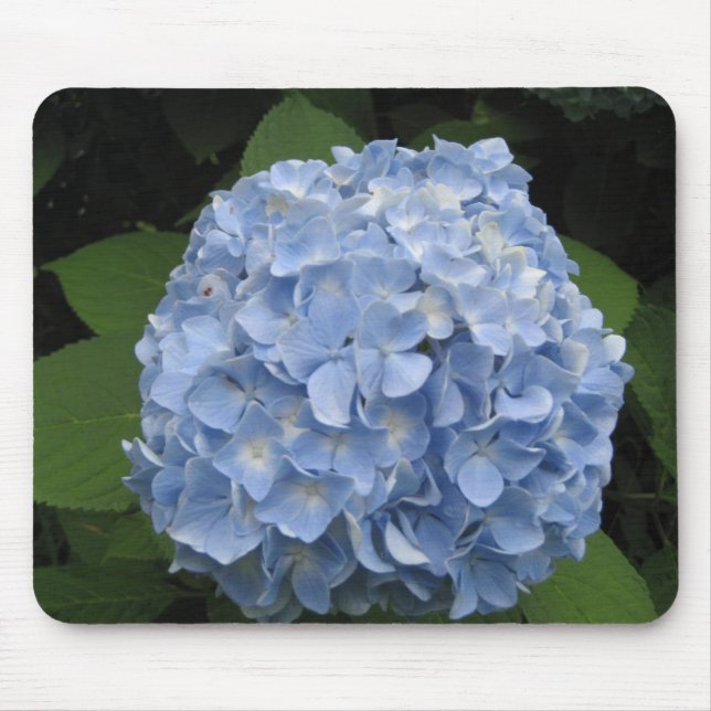 Blue Hydrangea Mousepad (Vorne)