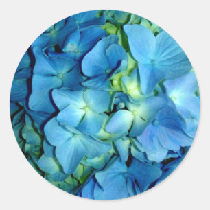 Blue Hydrangea Runder Aufkleber