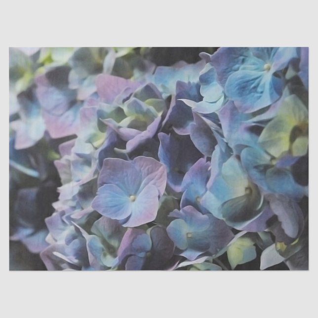 Blue Hydrangea Seidenpapier (Vorderseite)
