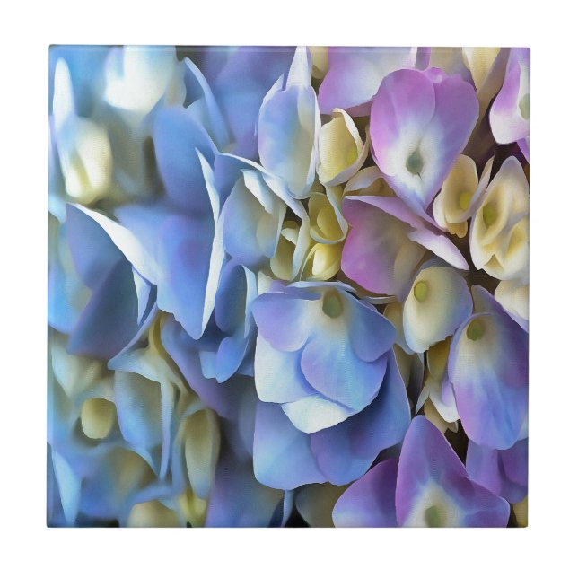 Blue Hydrangea Shrub Artistic Bossom Fliese (Vorderseite)