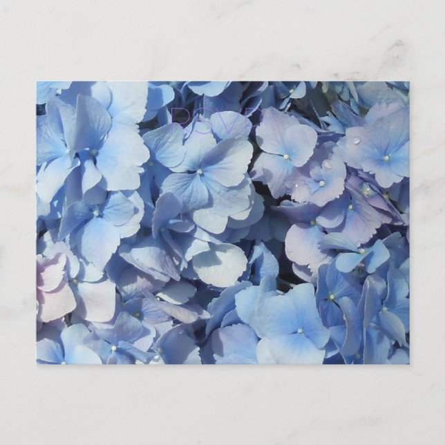 Blue Hydrangea UAWG Wedding Einladungspostkarte (Vorderseite)