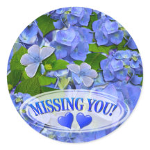 Blue Hydrangea und Schmetterlinge Vermisst