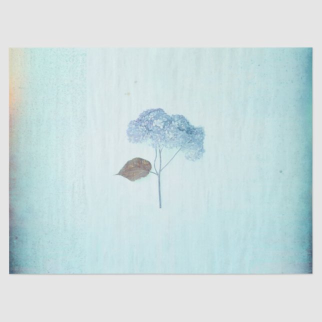 Blue Hydrangea Vintage Blüte Rustikale Antike Seidenpapier (Vorderseite)