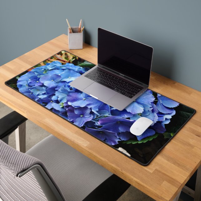 Blue Hydrangeas (Bureau 2)