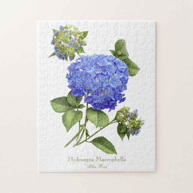 Blue Hydrangeas (Vertikal)