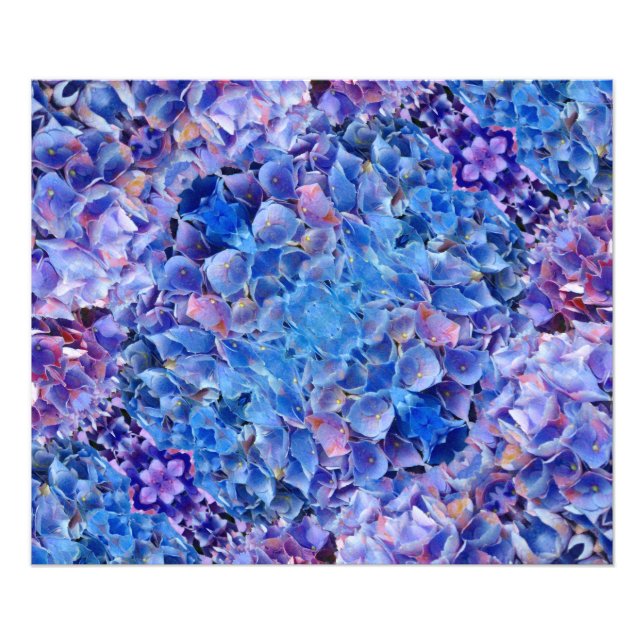 Blue Hydrangeas Blume Foto Print (Vorne)