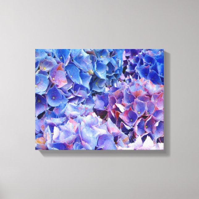 Blue Hydrangeas Blume Foto Print Leinwanddruck (Vorderseite)