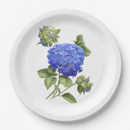 Blue Hydrangeas Botanische Art Paper Teller