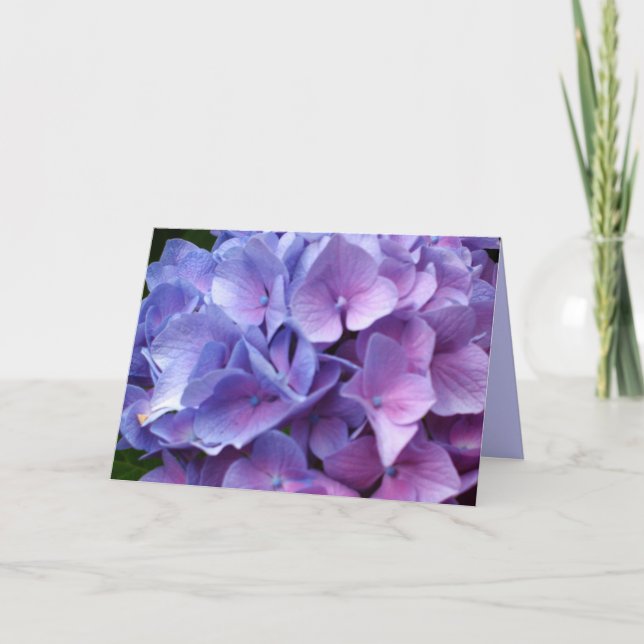 Blue Hydrangeas Card Karte (Vorderseite)