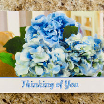 Blue Hydrangeas | Denken Sie an Ihre Postkarte