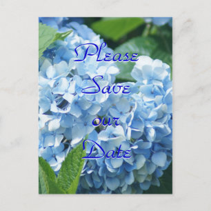 Blue Hydrangeas Rettete unsere Datums-Postkarte -  Einladungspostkarte