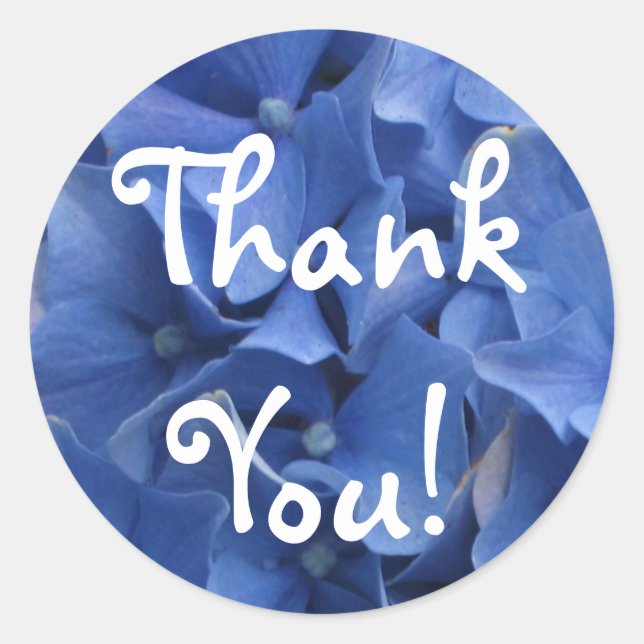 Blue Hydrangeas Sticker (Vorderseite)