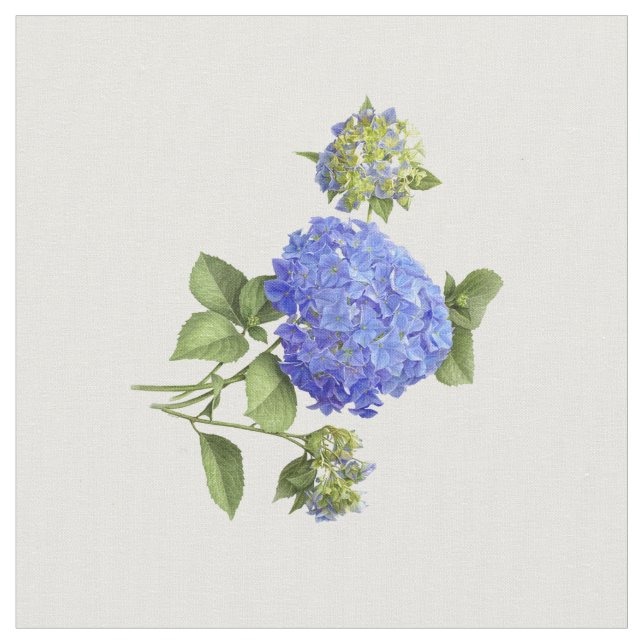 Blue Hydrangeas Stoff (Nahaufnahme)