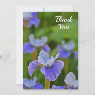 Blue Iris Blume Elegante Wohnung Dankeschön Karte