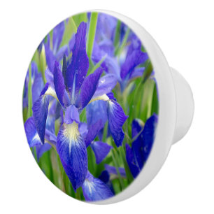 Blue Iris Blume Knob Keramikknauf
