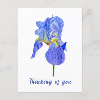 Blue Iris Denken Sie an Sie Postkarte