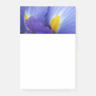 Blue Iris Flower 4x6 Post-It Notes Klebezettel