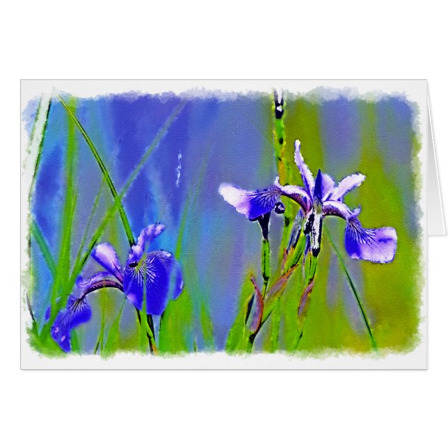 Blue Iris Garden Fleurs Floristes Design Art (Devant horizontal)