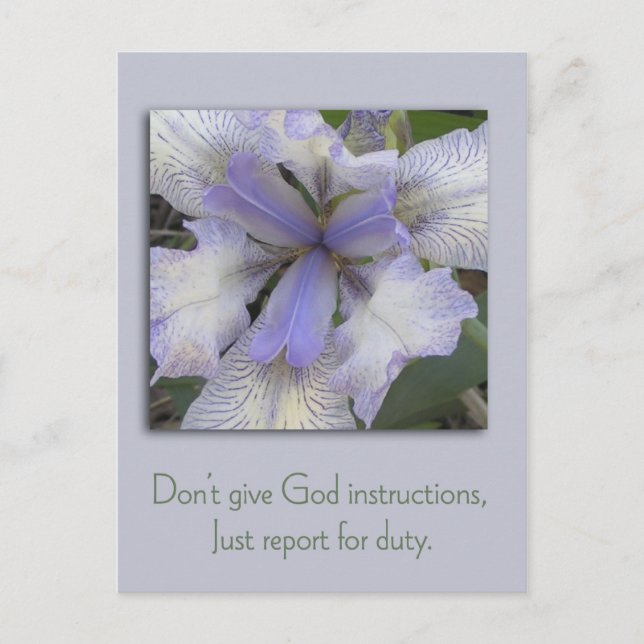 Blue Iris Inspiration Postcard Postkarte (Vorderseite)