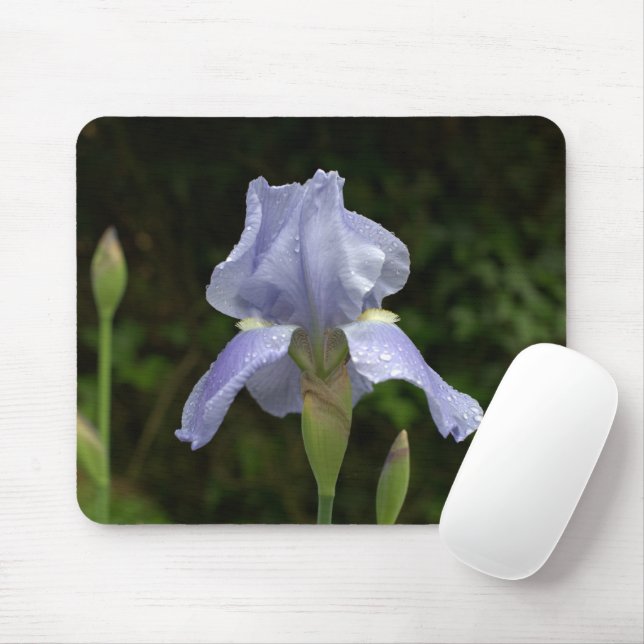 Blue Iris mit Raindrops Mousepad (Mit Mouse)