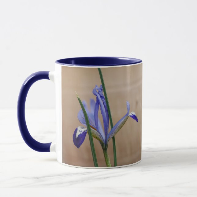 Blue Iris Reticulata Tasse (Links)