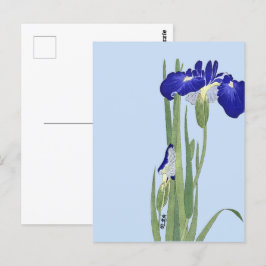 Blue Irises von Ohara Koson Postkarte