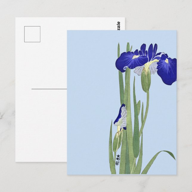 Blue Irises von Ohara Koson Postkarte (Vorne/Hinten)