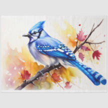 Blue Jay 1 Decoupage