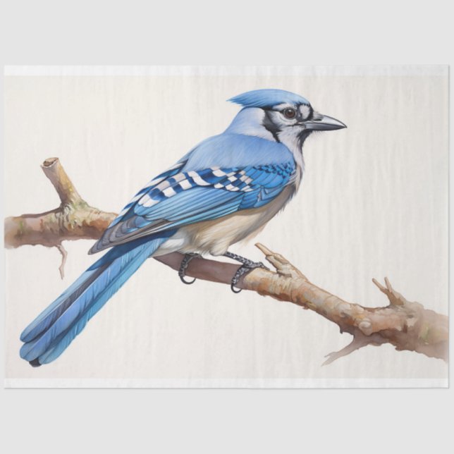Blue Jay 3 Decoupage Seidenpapier (Vorderseite)